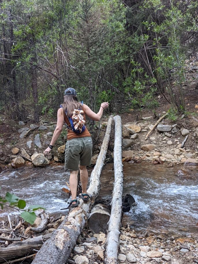 Lydia McNeese, adventuring buddy of Wild Bunch owner Laurel Darren, navigates over a mountain creek with the help of a log crossing on the Alpine Gulch trail.