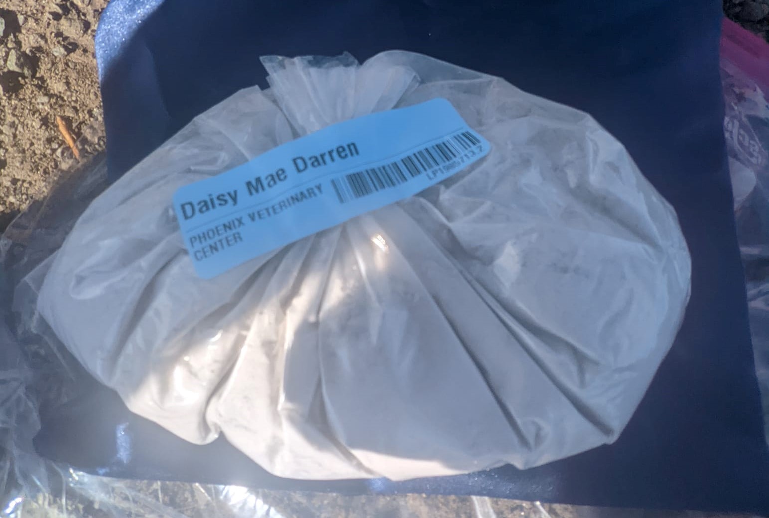 The bag of ashes containing the remains of Daisy Mae, the dearly departed Plott Hound and constant hiking companion of Wild Bunch Desert Guides owner Laurel Darren.