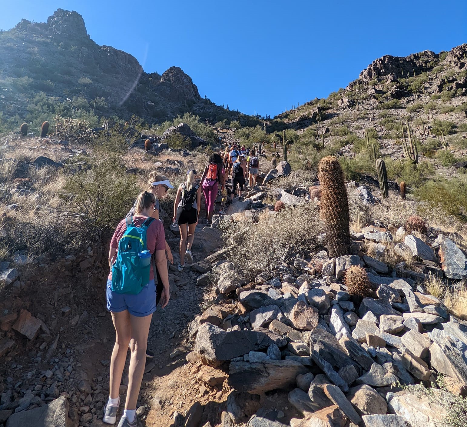 The Wild Bunch welcomed a Phoenix hiking tours group of 77 women in November.