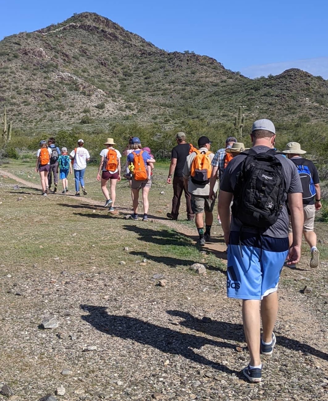 A long line of hikers makes it way along the twisting trails to experience the unforgettable Southwest scenery on another Phoenix group hike with the Wild Bunch.