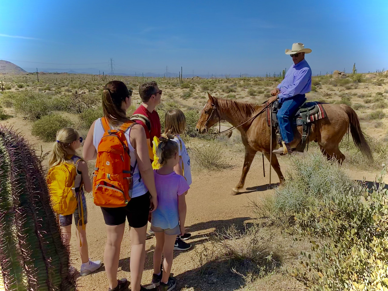 A family of five is thrilled by the sight of a real-life cowboy on horseback during one of our Phoenix hiking tours. Taking children on a Wild Bunch Desert Guides adventure always is a rewarding experience because no one ever knows what sort of once-in-a-lifetime sight they will see.