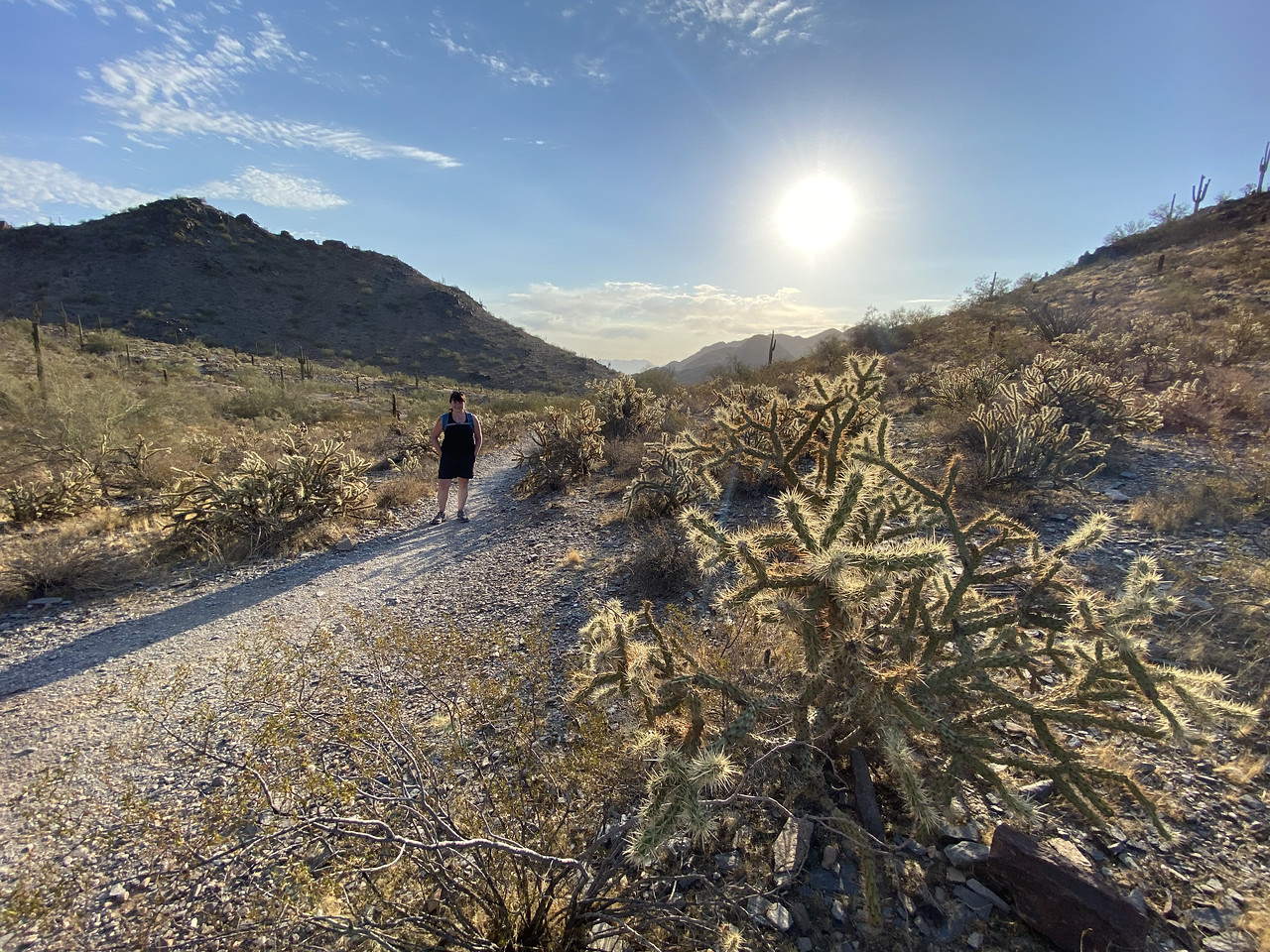 With Teddy Bear Cactus waiting in the foreground, a solo hiker makes her way along one of the hundreds of trails in the greater Phoenix area with an early-morning Arizona summer sun starting to raise the temperatures.