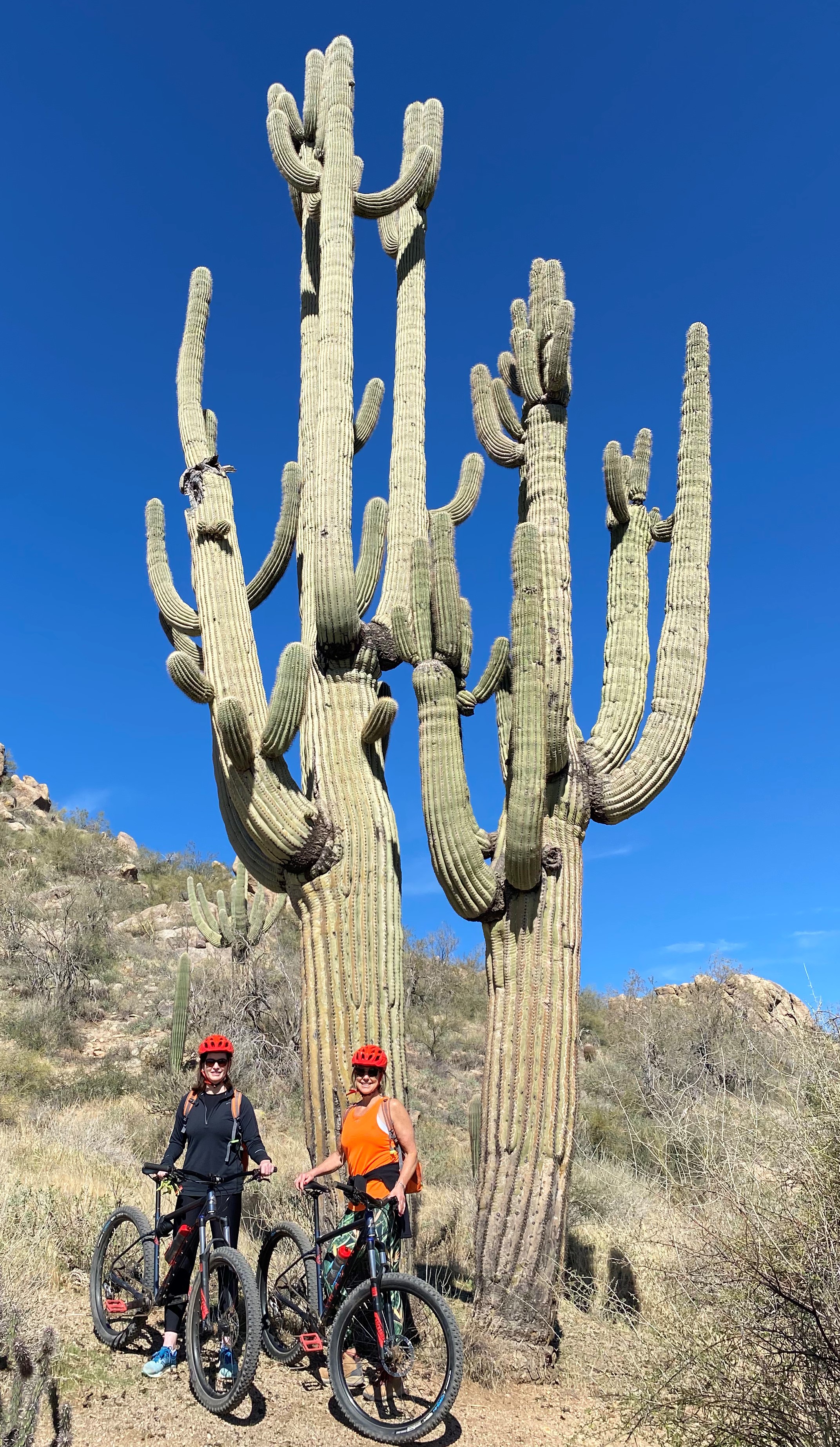 Pausing for a photo in front of an iconic Saguaro Cactus during a 2020 girlfriends trip with the Wild Bunch are Kate Thornton (left) and Jean Heinly.