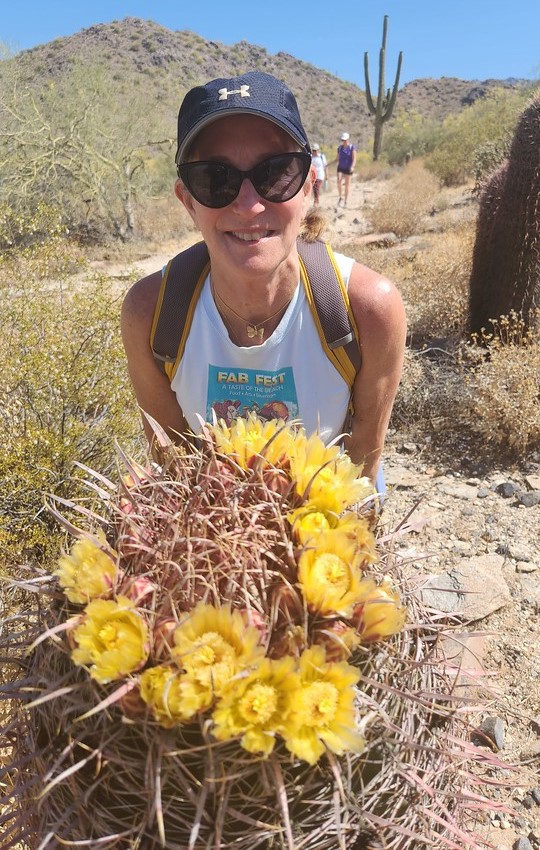 A Wild Bunch Desert Guides guests stops to admire wild flowers during a guided Phoenix hiking tour in the Sonoran Desert.
