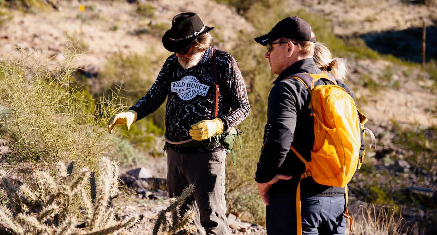 Phoenix Hiking Tour Guide