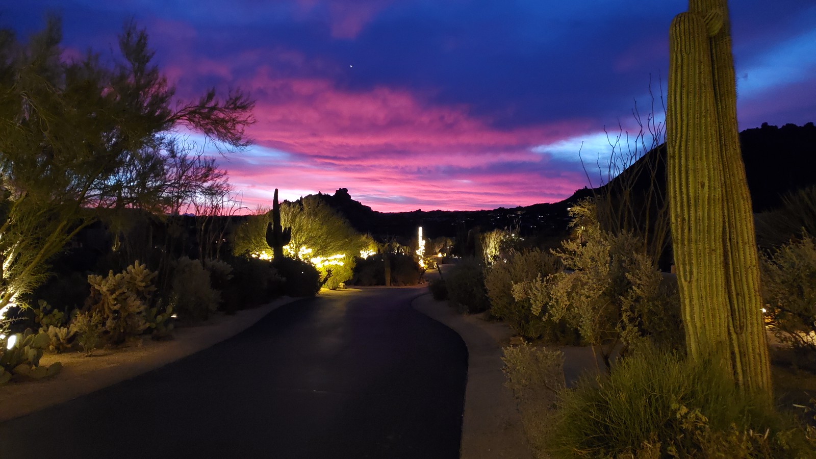 With one of Arizona's Easter egg-colored sunsets as the backdrop, bicycle lights reveal an amazing desert landscape during one of the special Phoenix mountain bike tours offered at dusk by the Wild Bunch Desert Guides.