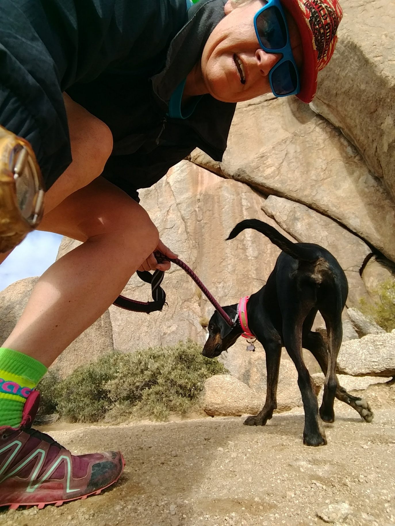 Laurel Darren (left), owner of Wild Bunch Desert Guides, hikes her pair of Plott Hounds, including Daisy Mae (pictured), a couple of times each week. Her company specializes in dog-friendly hiking in Phoenix because of her first-hand experiences with her own pets.