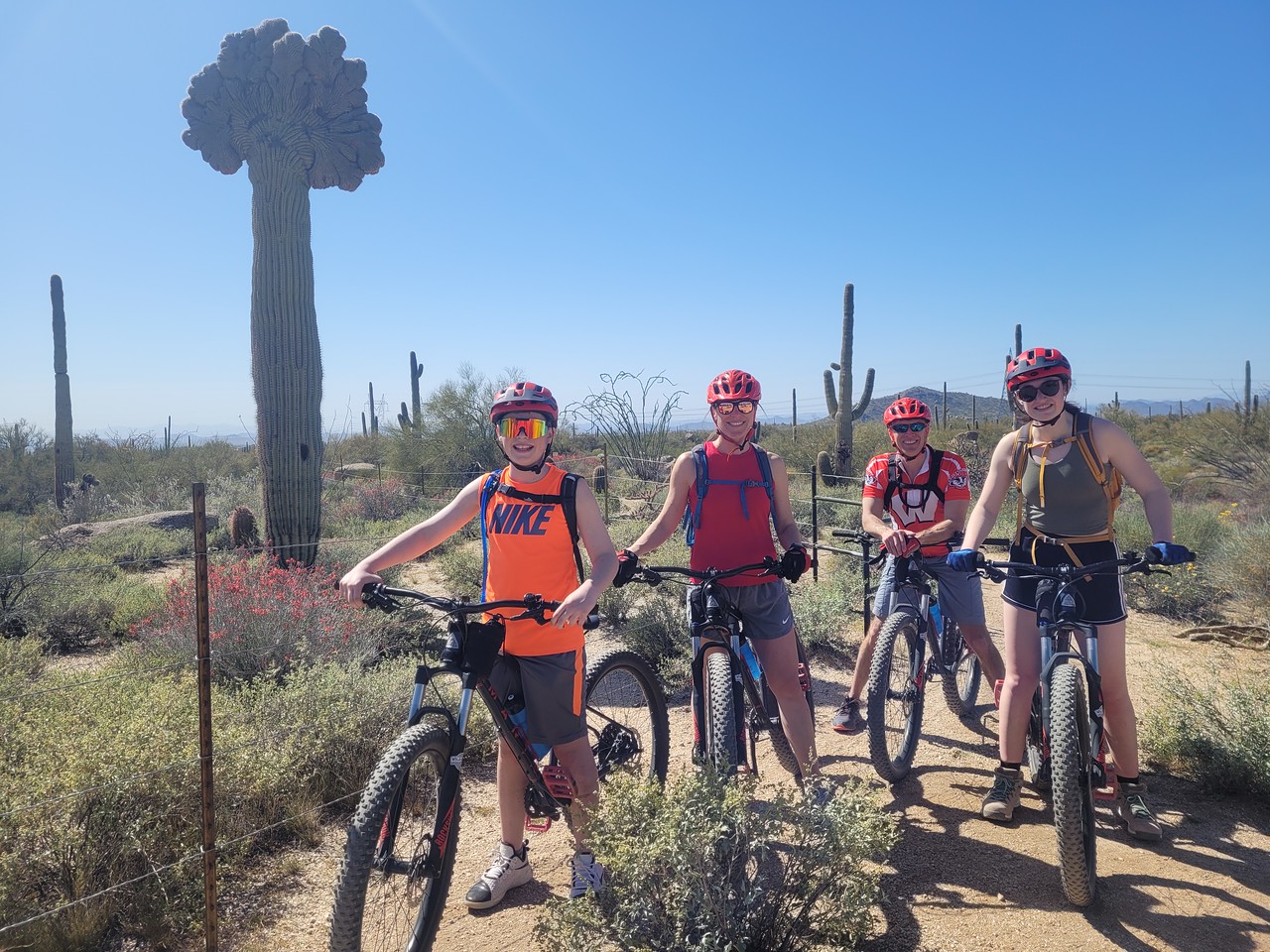 A father (third from the left) and his children enjoy one of the Phoenix mountain bike tours from the Wild Bunch Desert Guides.