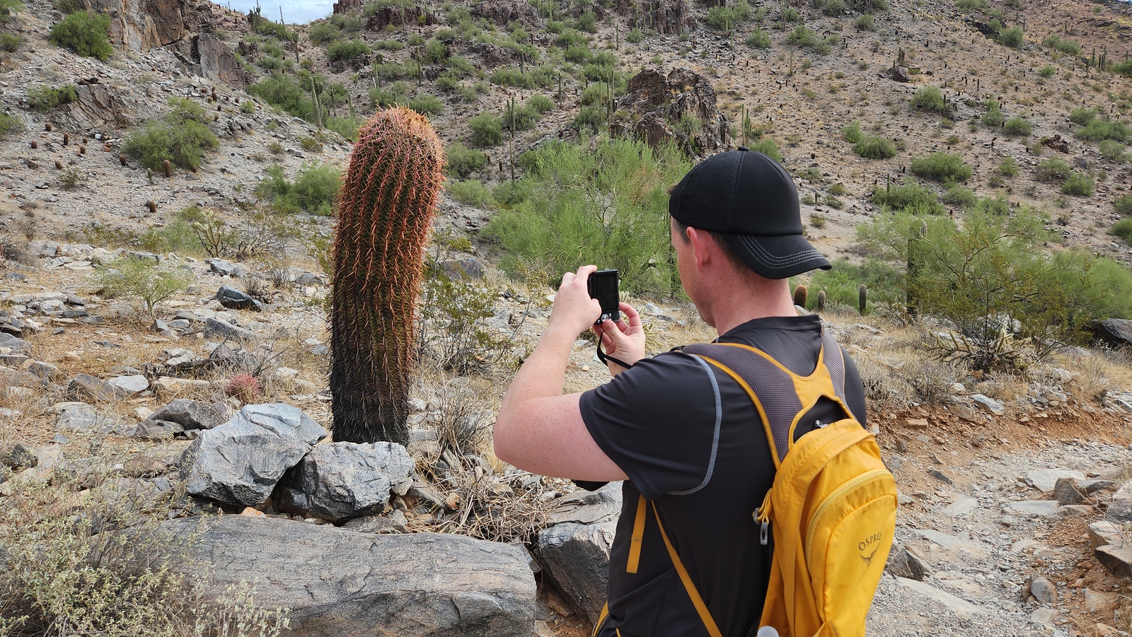 A Phoenix hiking tours guest pauses to take a picture of a cactus with a rocky landscape as the backdrop.