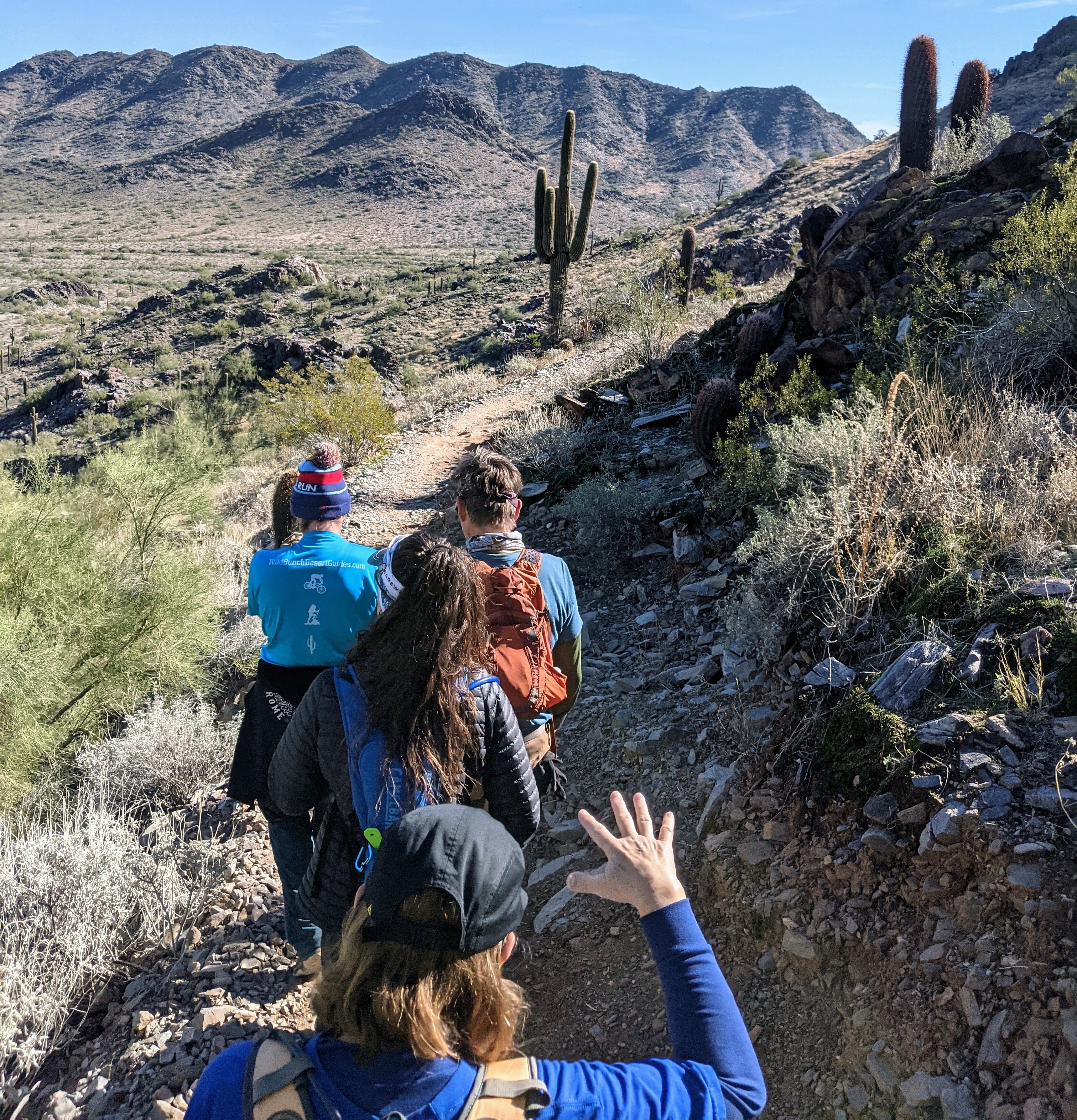 Henry's hiking group winds along a picturesque Sonoran Desert trail during one of Wild Bunch's Phoenix hiking tours. 