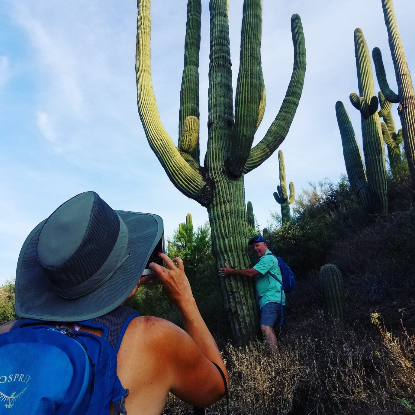 Saguaro Cactus majestically shooting skyward while a Wild Bunch Desert Guides guest takes a picture of another guest hugging the cactus.