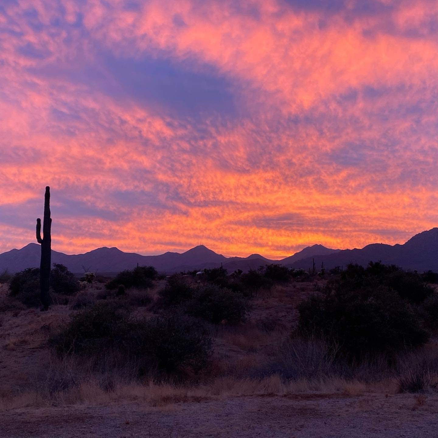 Sunsets on Phoenix hiking tours are among the most beautiful in the world.