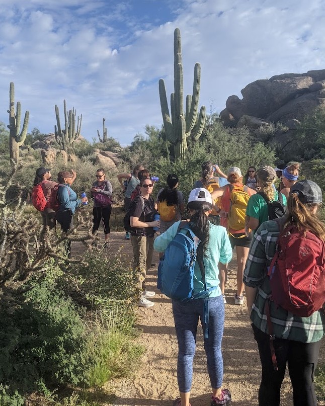 The Veterans take in a majestic cluster of cactus on the trails during Wild Bunch Desert Guides hiking tour in the Sonoran Desert.