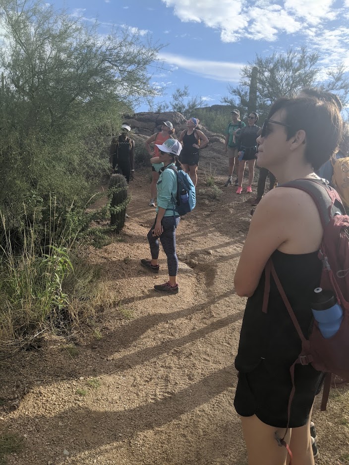 Members of Veterans hiking group admire some of the Sonoran Desert vegetation on their Wild Bunch Desert Guides adventure.
