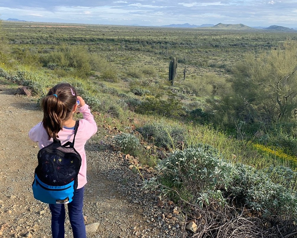 A picture taken by Evelina (see above testimonial) shows her 7-year-old daughter taking in the vastness and wild beauty of the Sonoran Desert during a 2023 Phoenix hiking tour with the Wild Bunch. 