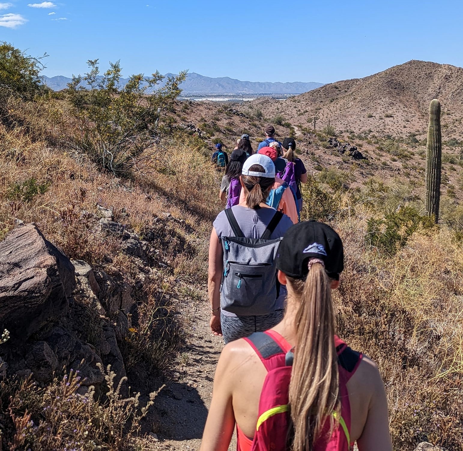 A Wild Bunch Desert Guides Phoenix hiking tours group makes its way along the trails recently. 