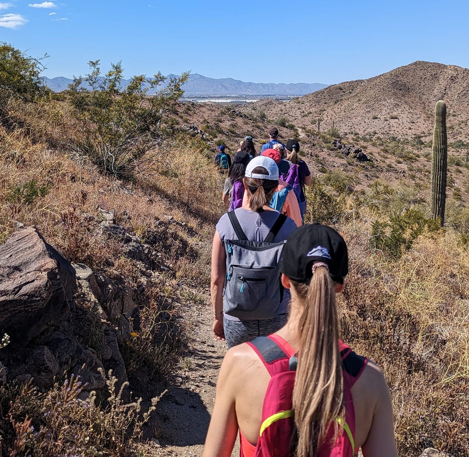 A family makes its way along a winding Sonoran Desert trail during one of the Phoenix hiking tours from the Wild Bunch.