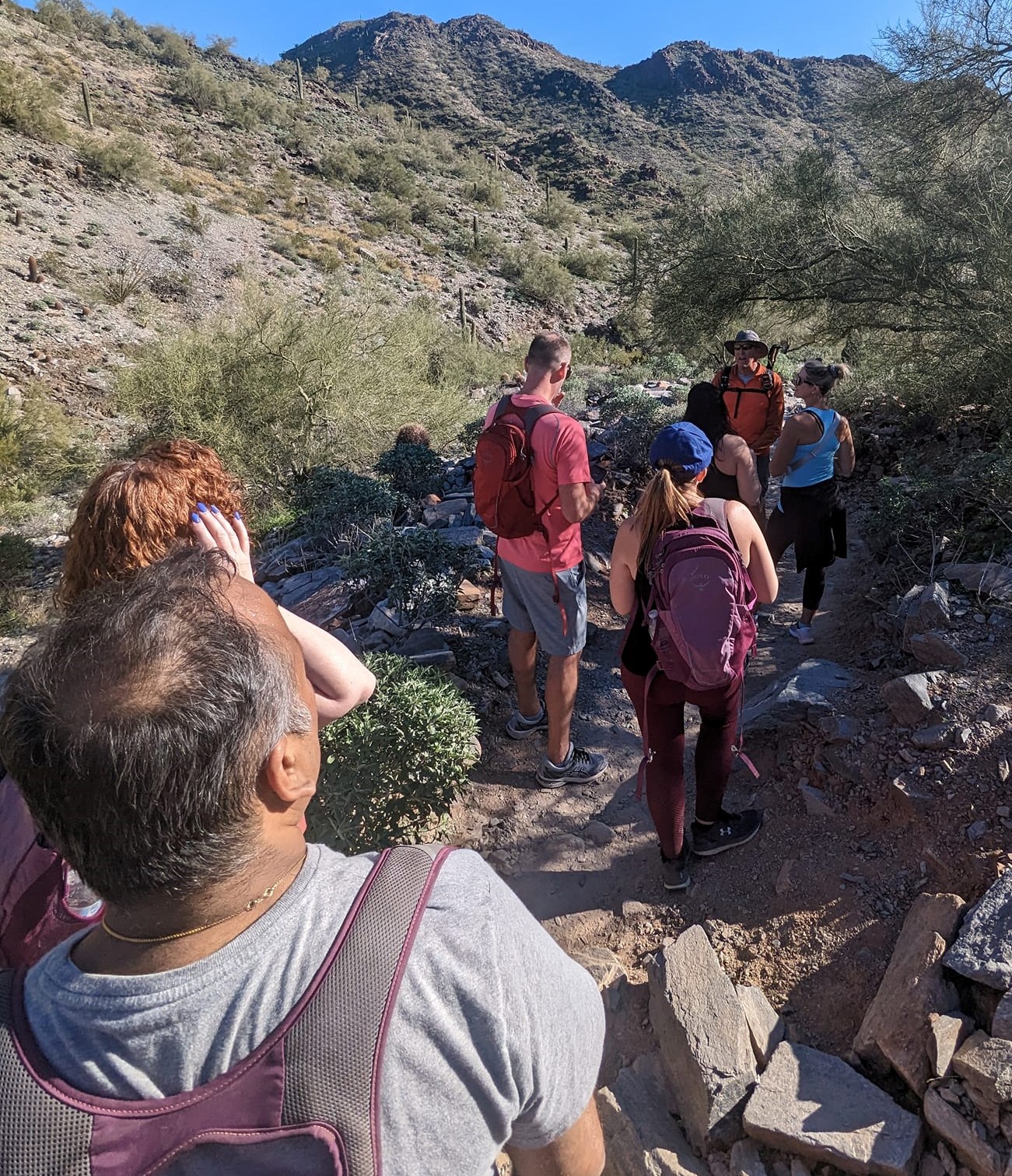 A family enjoys one of the Wild Bunch's Phoenix hiking tours.