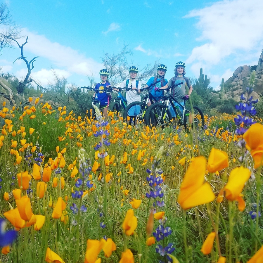 Hiking or Mountain Biking in Phoenix? Watch for these 'Easter Eggs