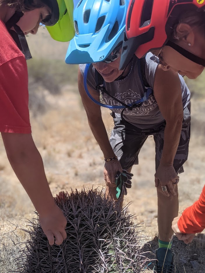 Because of our Memorial Day heroes, Americans are allowed to travel freely in their country and are exposed to all sorts of experiences. (Pictured) A Wild Bunch guide (right) shows a group of children one of the many species of cactus in Arizona's Sonoran Desert.