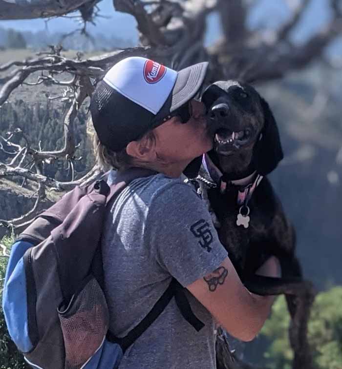 Dogs on Trail