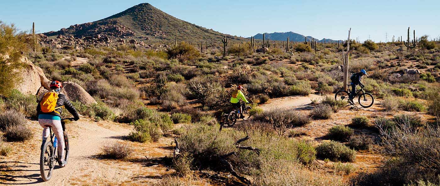 Guided Mountain Biking Tour