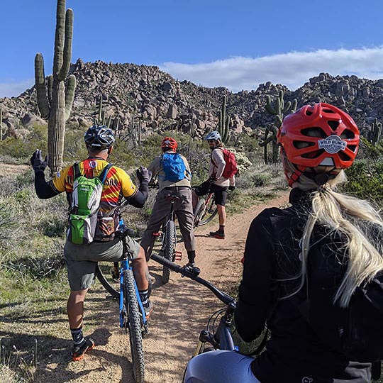 Mountain Bike Tour at McDowell Mountain in Phoenix AZ