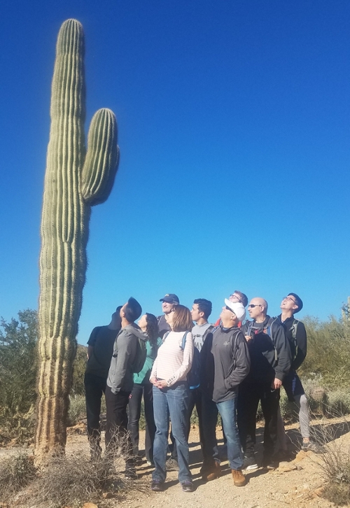 Saguaro on a Phoenix Hiking Tour