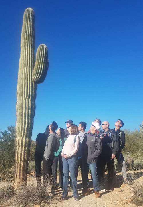 Saguaro on a Phoenix Hiking Tour Saguaro on a Phoenix Hiking Tour